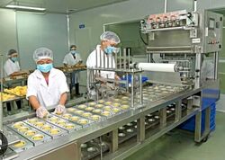 Ka Foodlink (D13), Factory #567997981